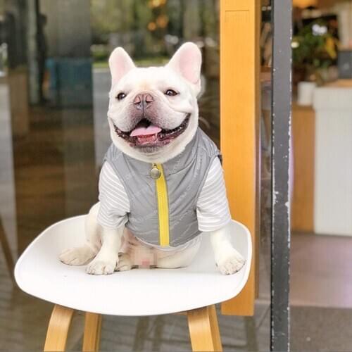 Dog clothes dog dog clothing reflective dog jacket dog accessories french bulldog dog coat pet clothes dogs clothes pets