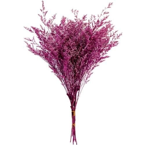 Wholesale Retail Lover Grass Limonium Natural Dried Preserved Flower Home Rose Red Wedding Christmas New Year 2021 Decoration