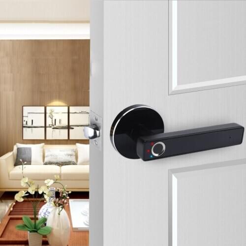 Biometric Fingerprint Home Door Lock Smart Home Automatic Security Alarm Electronic Door Lock With Emergency Key Unlock