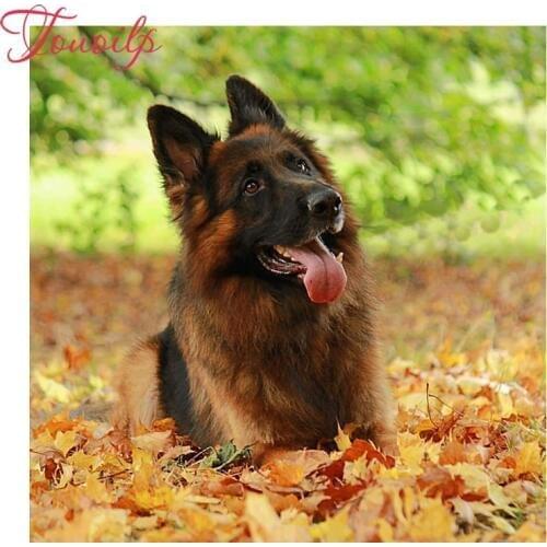 Touoilp square/round German Shepherd 5d diamond painting cross new Year diamond embroidery plastic crafts Full diamond painting