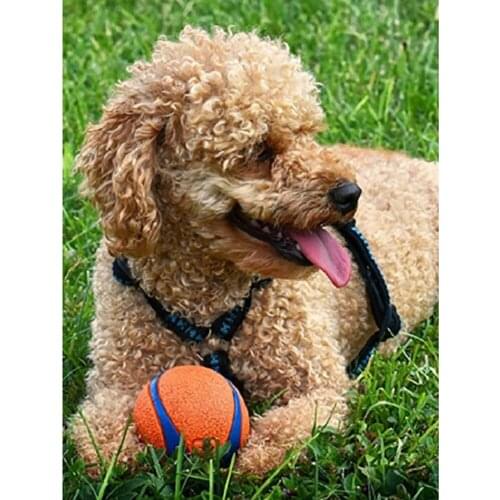 Animal Dog DIY 11CT Embroidery Cross Stitch Kits Craft Set Cotton Thread Printed Canvas Home Decoration Dropshipping On Sale