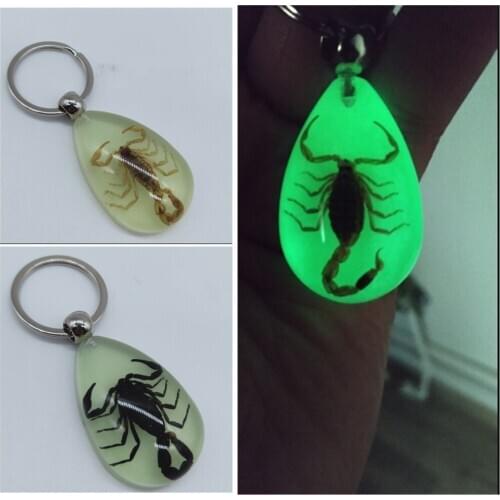 Motorcycle Accessories Insect Luminous Amber Dice Keychain Waist Pendant Tourist Souvenir Gift Crafts Decoration modeling