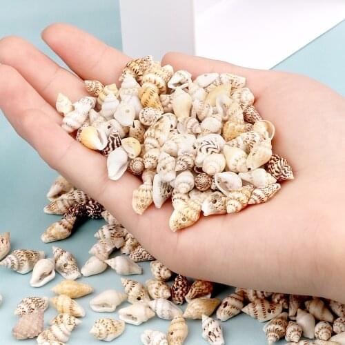 Wholesale Small Conch Beads 10g 30g 50g 100g Natural Sea Snail Accessories With Holes Women DIY Bracelet Necklace Jewelry Parts