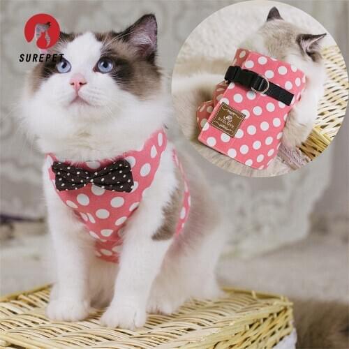 Surepet Collars For Cats
