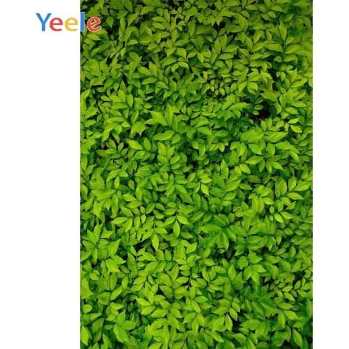 Spring Green Leaves Grassland Newborn Baby Shower Birthday Backdrop Photography Background For Photo Shoot Vinyl Photophone
