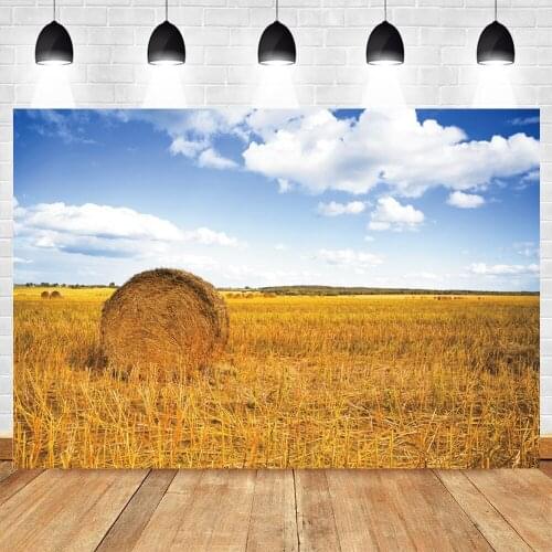 Yeele Autumn Scene Backdrop Golden Farm Haystack Photography Baby Portrait Background Photographic For Photo Studio Photozone