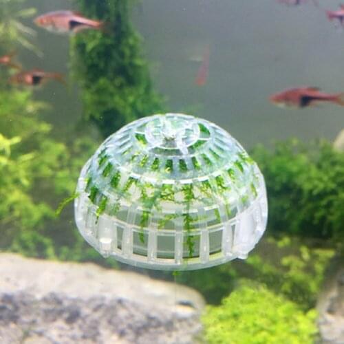 Transparent Aquatic Bio Moss Ball Shrimp House Breeding Mineral Submerged Ball Grass Plant Seaweed Algae Model Decoration
