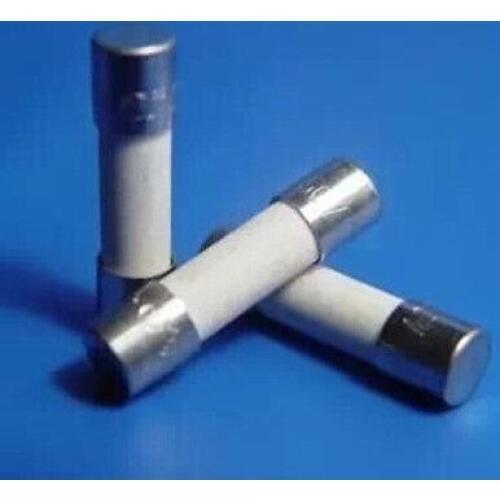100 pcs Ceramic Fuse 10A 250V 5x20mm Fast Blow 5mm*20mm Fuse