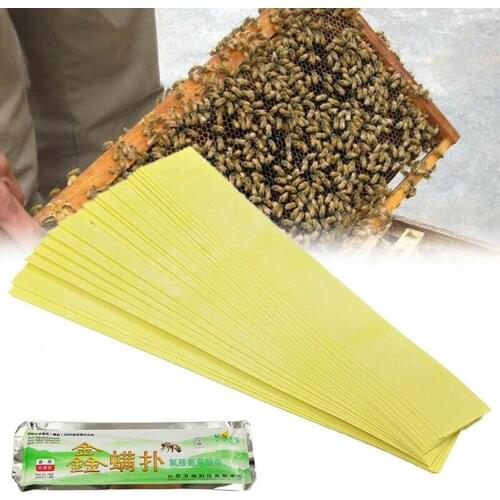 20pcs Fluvalinate Strips Bees Mite Varroa Beekeeping Medicine