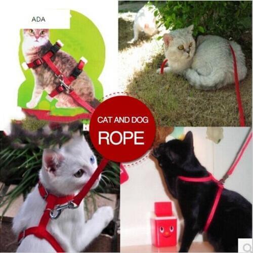 New 2015 Pet products cat supplies cat collars pet harness for cat shape design chain traction belt cat rope