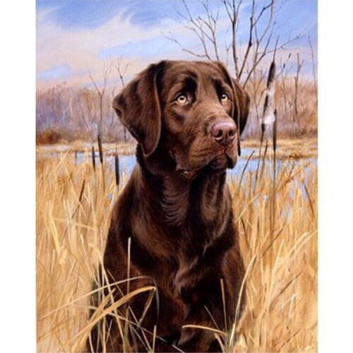 DIY Digital Painting By Numbers Labrador oil painting mural Kits Coloring Wall Art Picture Gift frameless