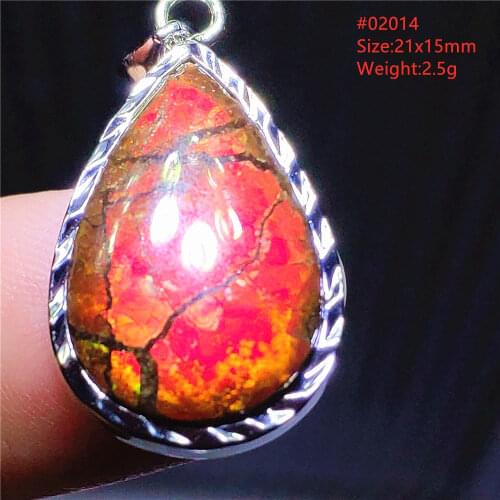 Genuine Natural Red Ammonite Ammolite Light Pendant 925 Sterling Silver Gemstone Women Men From Canada Necklace AAAAA