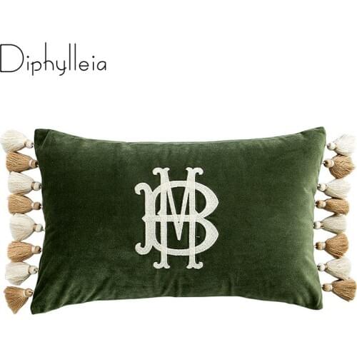 Diphylleia 2021Pillowcase Cushion Cover Designer Letters Chenille Fabric Embroidery Invisible Zipper rectangle Pillow Cover