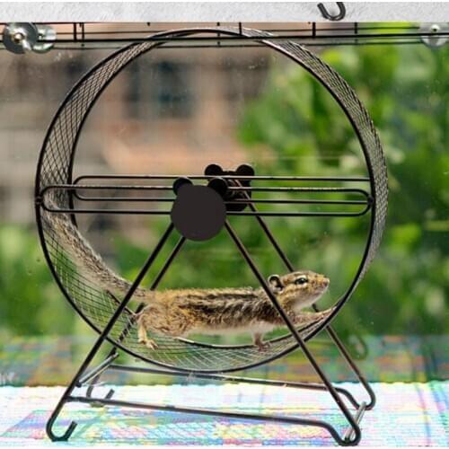 Pet Products Totoro Roller Hedgehog Squirrel Silent Suspension Roller Wheel Runner Toy Supplies Cat Toys Pets Toys