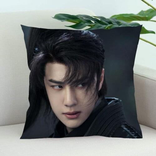 YiBo Pillow Cover Bedroom Home Office Decorative Pillowcase Square Zipper Pillow Cases Satin Soft