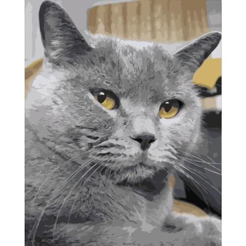 Cute Green Eyed Cat Animal DIY Drawing Painting by Numbers Lage Size Picture on Wall Decoration Children Gift 40x50 50x65cm