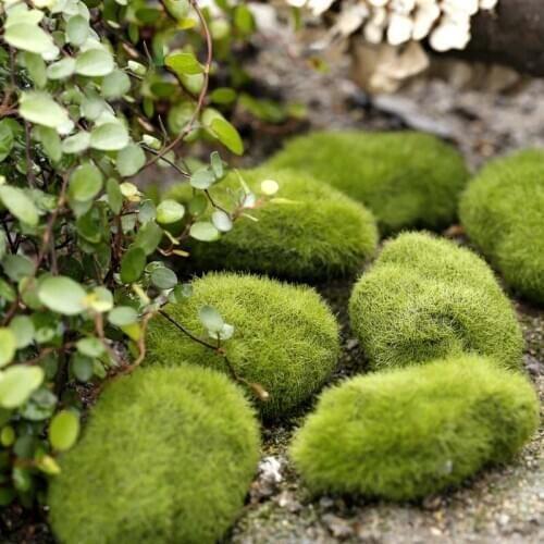Fairy Garden Decoration Simulation Moss Grass DIY Mini Decorative Miniature Micro Landscaping Accessories