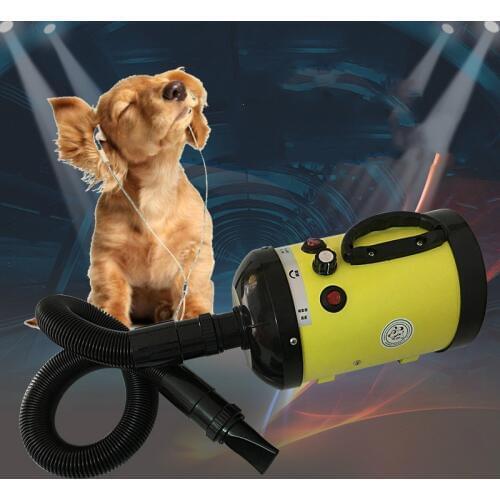 2800W Pet Blowing Machine Mute High Power Hair Dryer Professional Big Dogs And Cats Blow Drier Dedicated Non-crane Style EU Plug