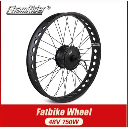 48V 750W Fat bike e-bike kit Electric bike conversion kit motor 20" 26" wheel MXUS brand for 175 mm 190mmFork