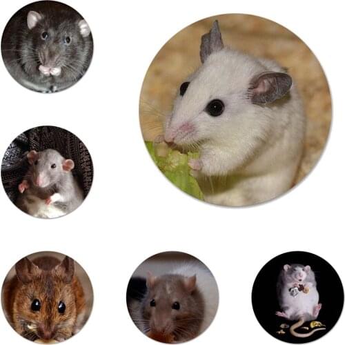 58mm Cute Animal Rat Eating Food Icons Pins Badge Decoration Brooches Metal Badges For Backpack Decoration