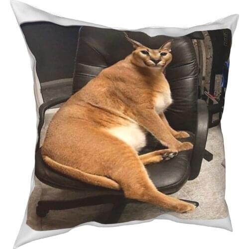 Floppa Cute Memet 2021 New Great Quality Middle Aged Youth Street Style Cartoon Comical Dakimakura Pillow Case Pillow Cover