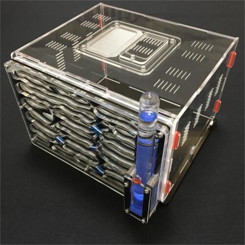 Villa 20*13*18.2cm big DIY moisture with feeding area ant nest ,ant farm acryl, insect ant nests villa pet mania for house ants