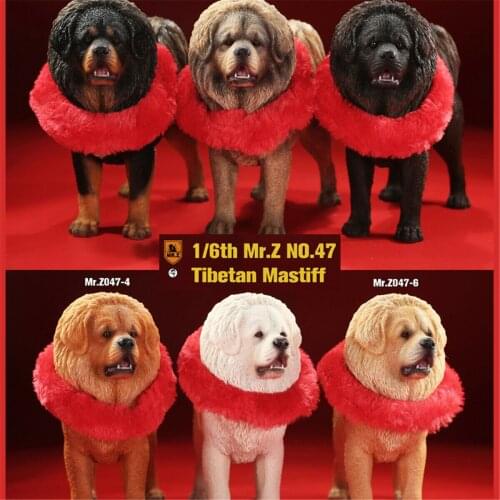 Mr.Z Studio 1:6 Tibetan Mastiff Statue Spaniel Dog Pet Healing Figure Animal Model Toy Collector Desktop Decoration Adult Gift