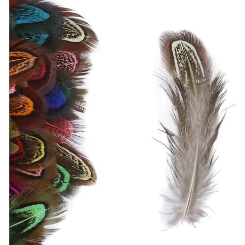 100Pcs Natural Pheasant Feathers DIY Jewelry Making Decoration 3-8CM Carnival Earring Accessories Dyed Chicken Plumes for Crafts