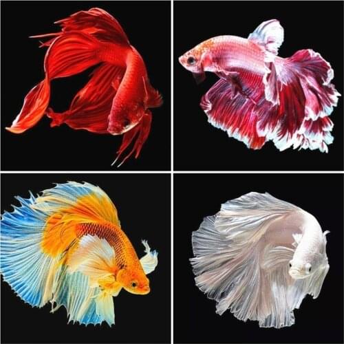 Huacan Diamond Embroidery Sale Full Square/Round Drill Animal fish Diamond Painting Cross Stitch Mosaic Home Decor Drop Ship