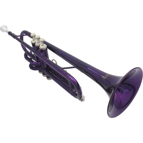 Purple Trumpet Bb B Flat Brass Phosphor Copper Exquisite with Mouthpiece Cleaning Brush Glove Strap