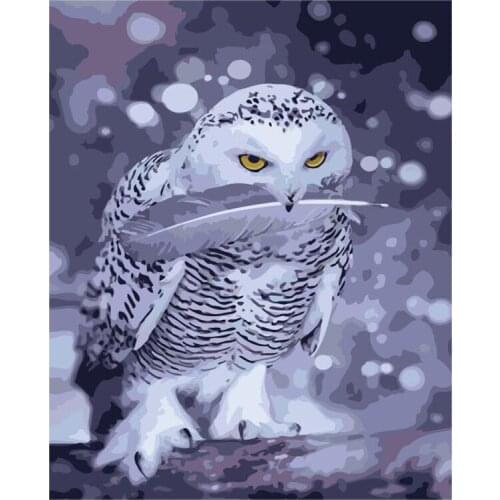 Painting By Numbers DIY Dropshipping 40x50 50x65cm Snowy Owls and Feathers Animal Handmade Gift For Adult Unique Gift Home Decor
