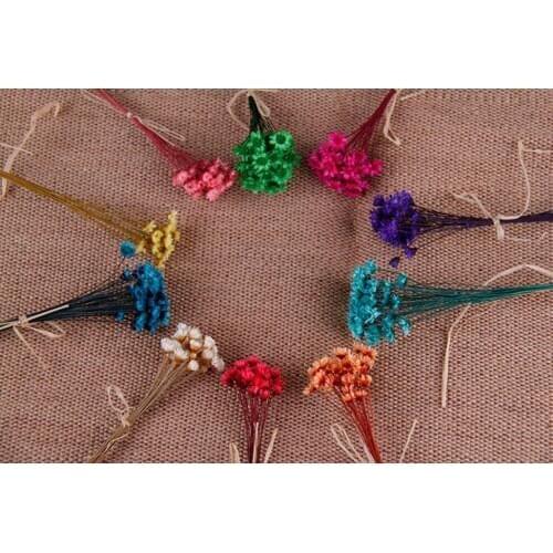 500pcs Mini Daisy Dried Natural Flower For Wedding Party Home Hotel Decoration DIY Bouquet Project Accessory