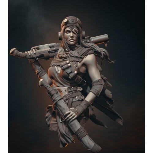 80mm Resin Model Bust GK，Unassembled and unpainted kit