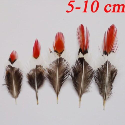 Wholesale Lady Amherst 10Pcs 5-10cm Natural Copper Chicken Feather Pheasant Tail Plumas For DIY Crafts Mask Clothing Decoration
