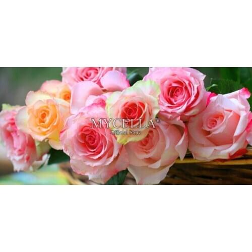 5D DIY Diamond Painting Stickers Full Round Rhinestone Mosaic Cross Stitch Diamond Pattern Diamond Embroidery Flowers Home Decor