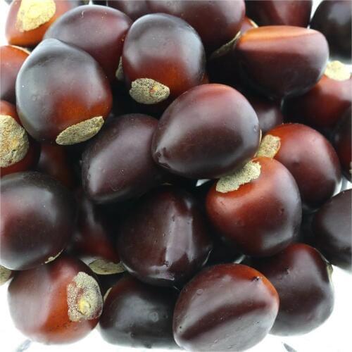Gresorth 50 PCS Artificial Chestnut Fake Nuts Lifelike Model Home Kitchen Decoration