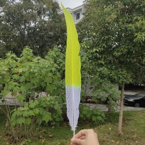 Hot Selling 50/100pcs Natural Silver Pheasant Feathers 55-60cm/20-24inches Stage Performances Decoration