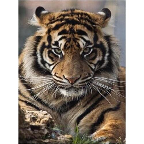 5D Diy Diamond Painting Cross Stitch Full Diamond Embroidery Tiger 3D Diamond Mosaic Pattern Rhinestone Pasted Needlework Resin