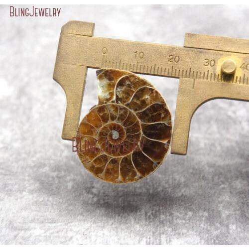 Natural Ammonite Sea Snail Wheck Conch Ammonite Siphonaria Nautilus Shell Pendant PM28213