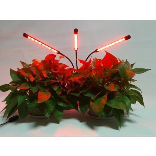 Leadleds Phytolamps For Plants