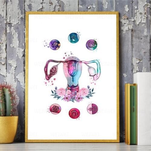 Woman Reproductive System Uterus Print Womb Art Pregnancy Poster Biology Medicine Wall Art Canvas Painting Doctors Office Gifts