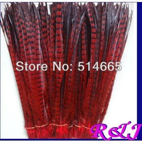 EMS Free Shipping 100pcs/lot ringneck pheasant Feather pheasant tail feather RED color 20-22 inches 50-55cm