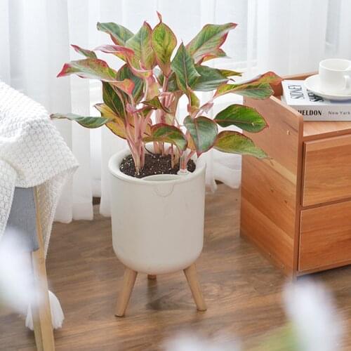 Lazy Flower Pot Automatic Self-Watering Floor-standing Storage Basin Stable Durable Beautiful For Plant Home Garden method