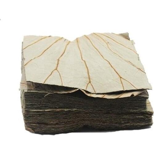 30pcs/50pcs Dried Lotus Square Cuting Leaves Leaf Chinese Dim Sum Wrapping Cooking