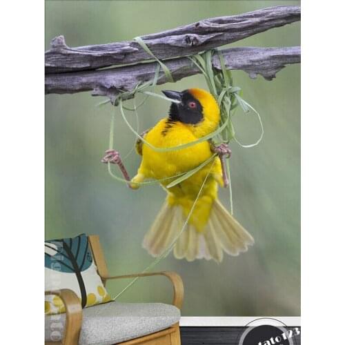 Custom 3D nature mural,Beautiful canary yellow bird nest do branch,living room TV wall bedroom wallpaper