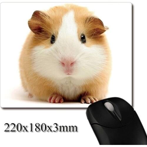 Cute fatty hamster close-up printed Heavy weaving anti-slip rubber pad office mouse pad Coaster Party favor gifts 220x180x3mm