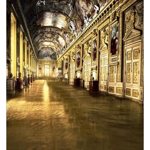 TR Luxurious Palace Photographic Props Backgrounds Indoor Decoration Bright Lighting Wedding Photo Backdrops Vinyl Cloth