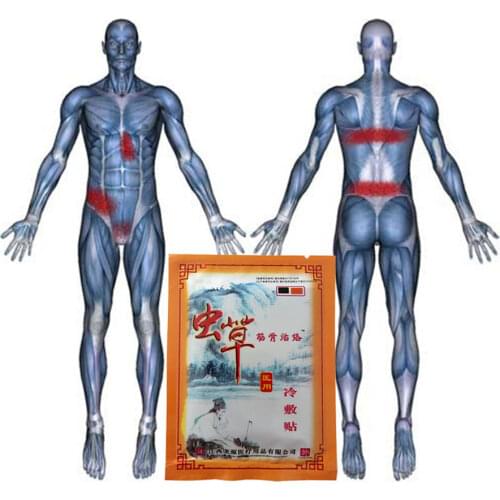 24Pcs Cordycep Analgesic Plaster Pain Relief Pain Relieve Patch Use for Muscle Back Shoulder Pain Balm Joint/Rthritis ache Massa