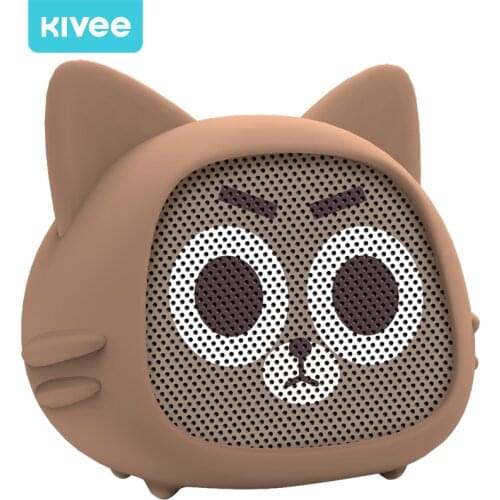 KIVEE Portable Audio Equipment