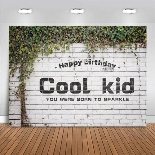 Cool Kid Happy Birthday Backdrop for Photography You Were Born To Sparkle Boy Birthday Photo Background Brick Wall Backdrops
